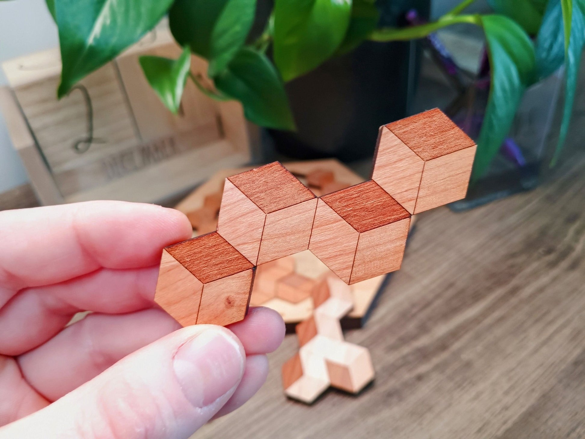 On of the Best Puzzles for Kids - Hexagon 10 Brain Teaser - Creative Escape Rooms