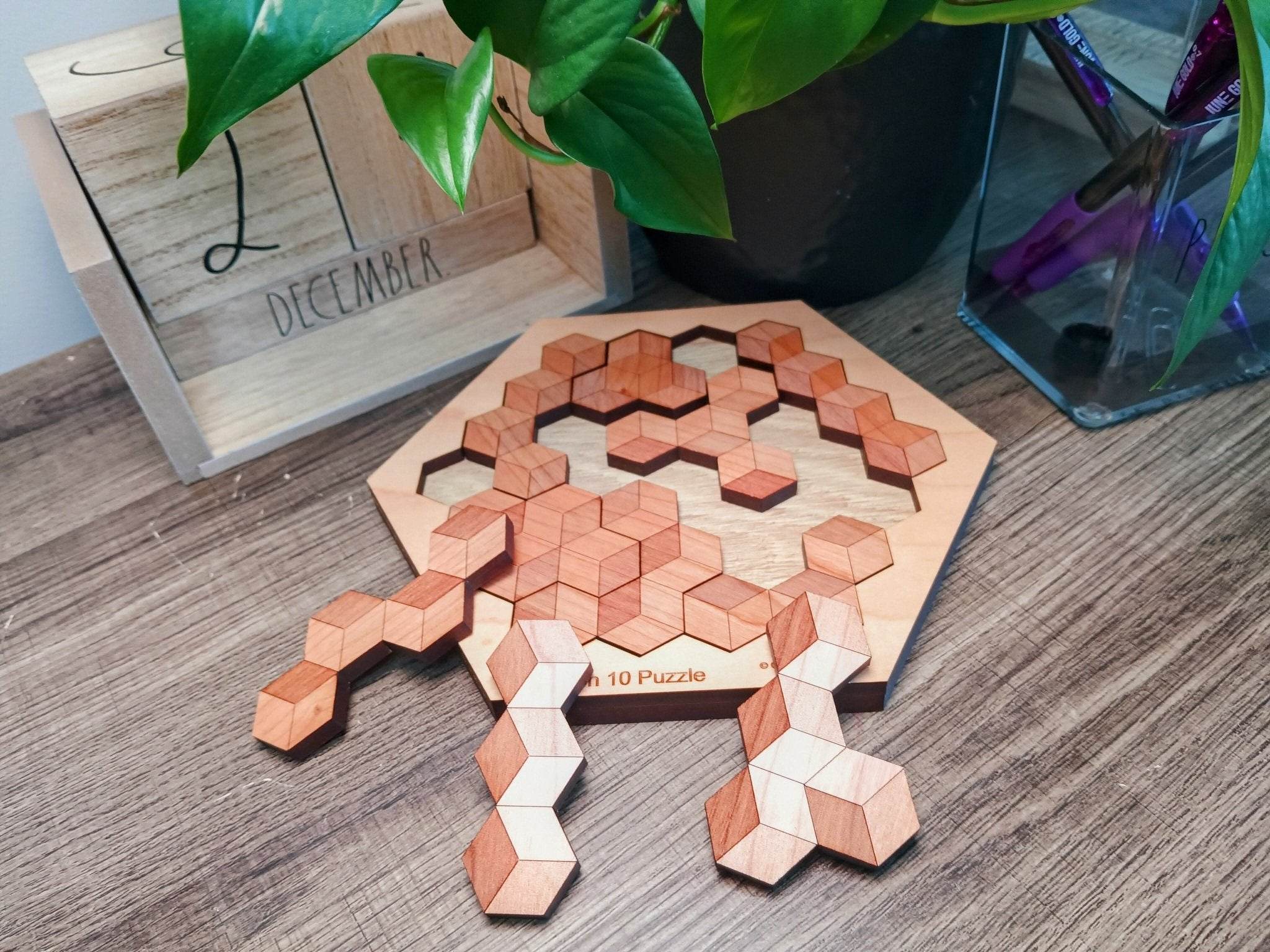 On of the Best Puzzles for Kids - Hexagon 10 Brain Teaser