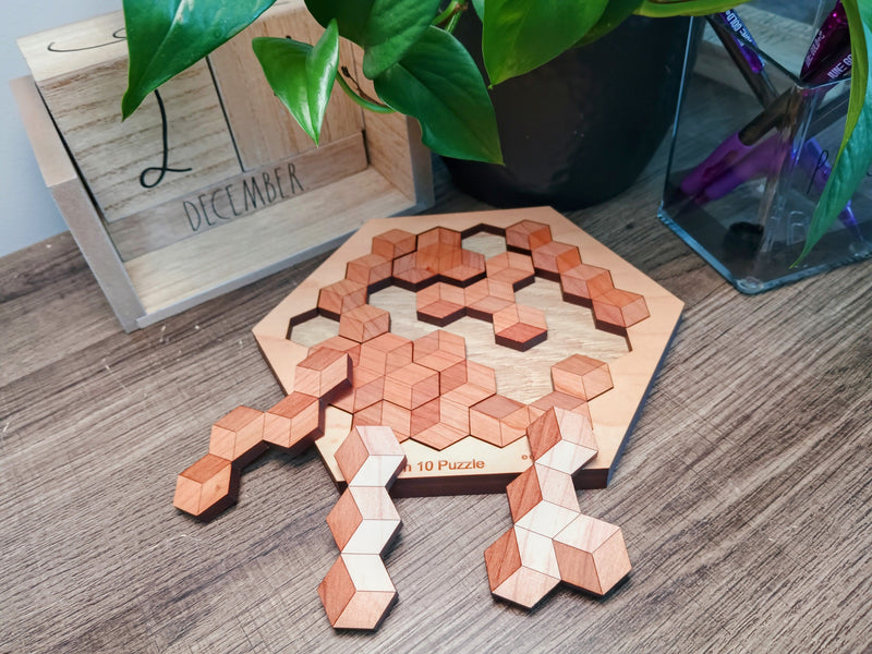 On of the Best Puzzles for Kids - Hexagon 10 Brain Teaser
